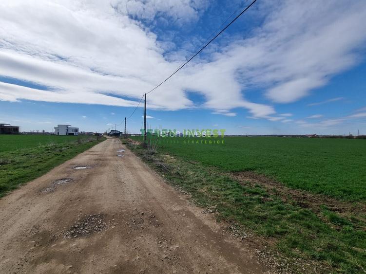 Teren 10.000 mp de vânzare – Balotești – PUZ locuințe - 3