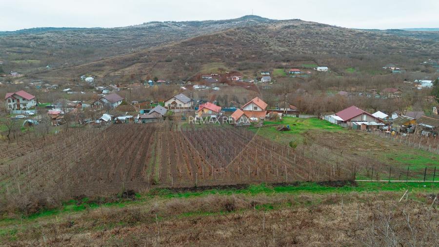 Casă de Om Gospodar - Costuleni - Grădină 2093 mp -0% Comision 0% TVA - 12