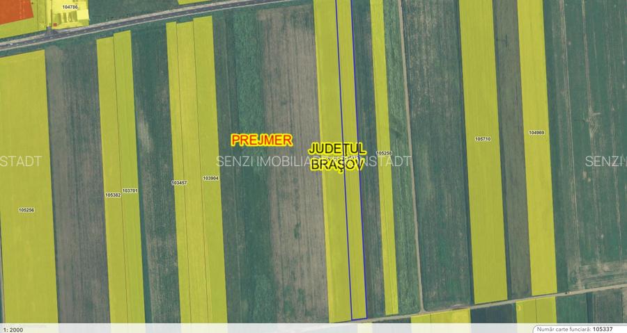 Teren Prejmer la DN 10, iesirea spre Brasov - 3