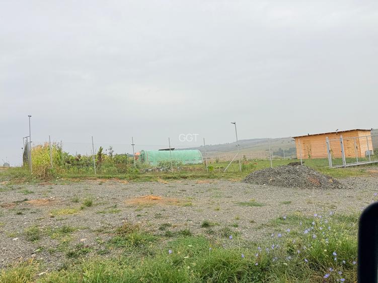 📏 teren pentru cabane Sibiu, Dealul Daii, Casolt, direct de la proprietar - 15