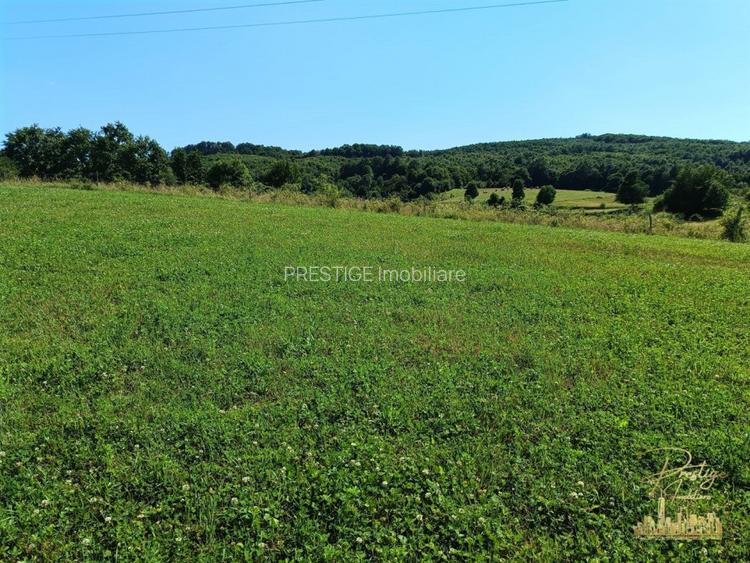 Teren extravilan 9093 mp de vanzare in Josani, com. Magesti - Bihor - 7