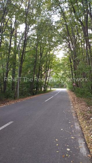 SUPER  OCAZIE TEREN 4000MP DE VANZARE IN SNAGOV CU DESCHIDERE LA LACUL SNAGOV - 2