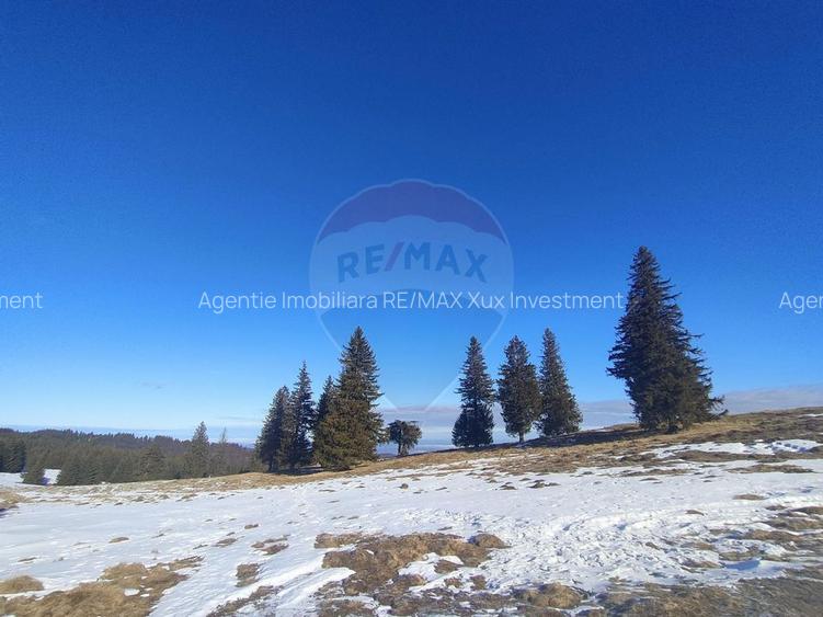 Teren  extravilan - 13