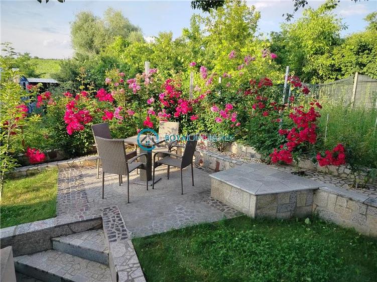 Royal Imobiliare - Vanzare Vila zona Chitorani - 7