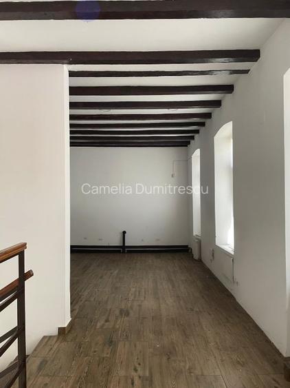 CISMIGIU-KOGALNICEANU APARTAMENT PE 2 NIVELURI-FINISAT PREMIUM - 10