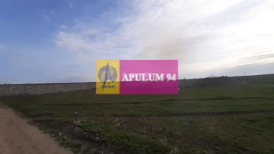 Parcelă lângă pădure în Ilfov - 7