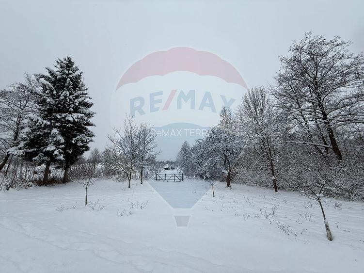 Teren în cea mai turistica localitate din Romania - Breb / Maramureș - 9