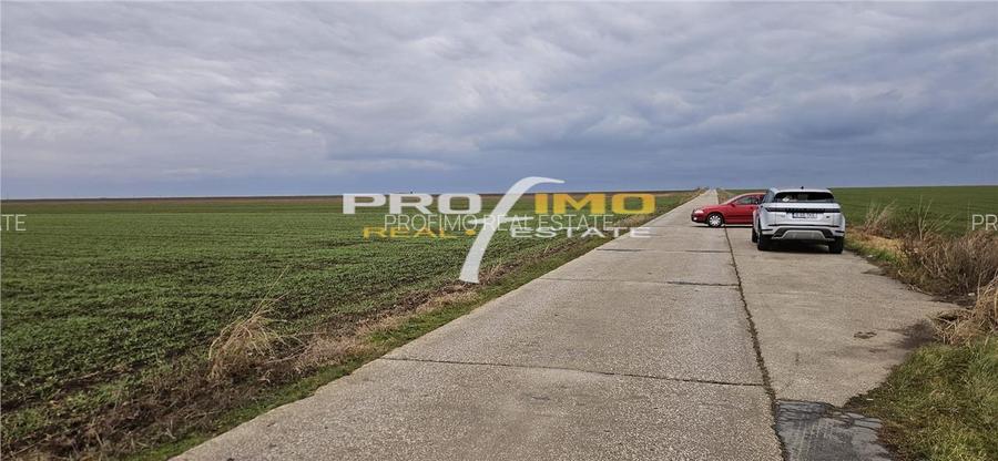 Plaja Corbu-Teren 4200mp. la numai 8 euro /mp. Soseaua asfaltata - 11