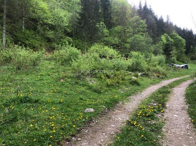 Teren pentru cabana Racatau - 4