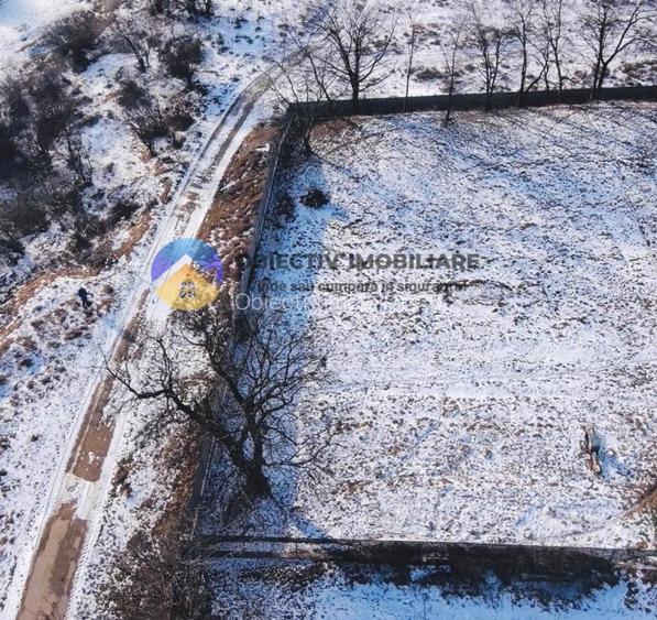 Teren intravilan 1000 mp – Alexandru cel Bun - 3