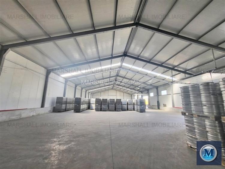 Spatiu industrial de inchiriat, zona Exterior Vest, 1500 mp #16483 - 2