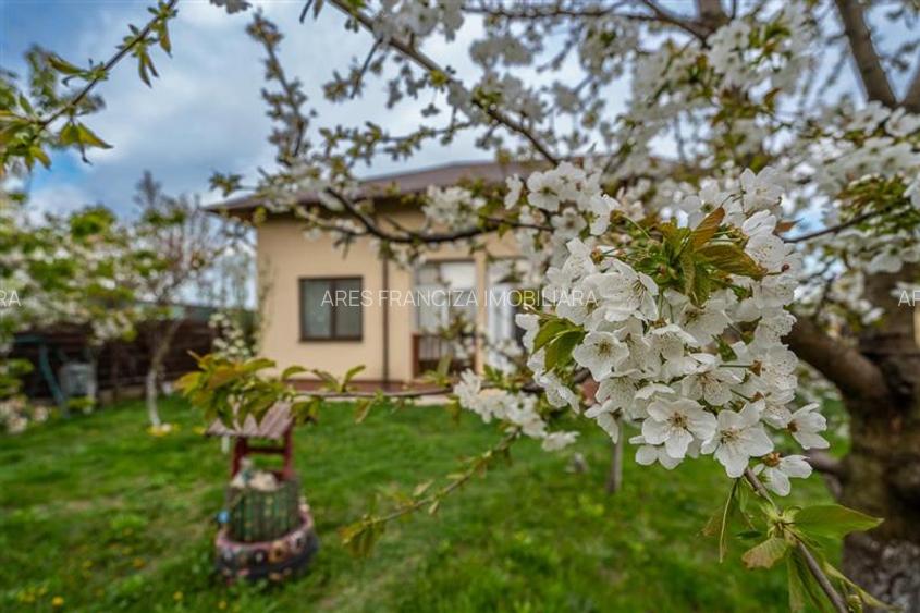 DOMNESTI,VILA INDIVIDUALA,4 CAMERE,258 MP,TEREN 700 MP,AN 2017 - 28