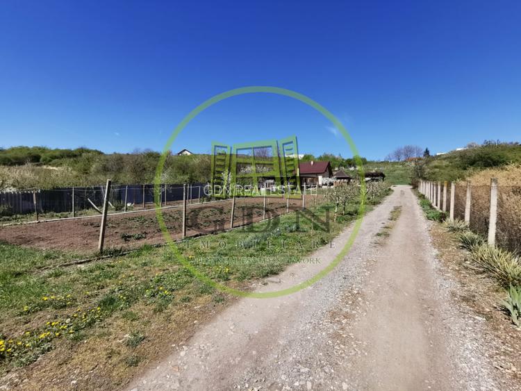 Teren intravilan si extravilan cu anexa gospodareasca amenajata, cu utilitati - 11