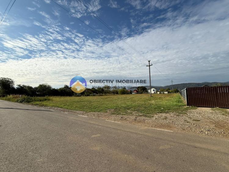 Teren de vanzare 1800 mp – Dumbrava Rosie - 3