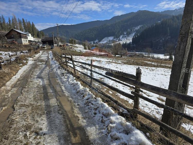 Teren 3,486mp Iacobeni / Drumul Dandoaia - 6