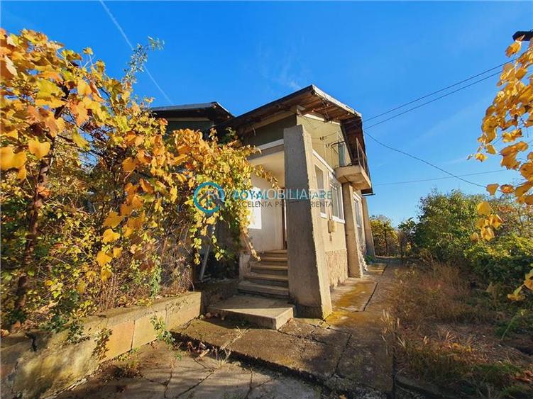 Royal Imobiliare - Vanzare casa Boldesti-Scaieni - 3