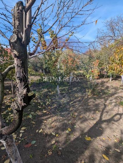 Casă / Vilă cu 5 camere de vânzare în zona Sud - 4