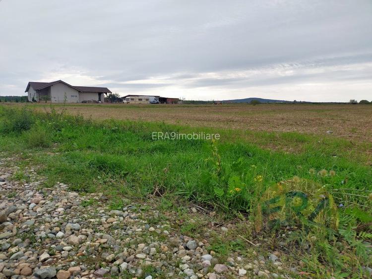 Teren Osorhei, Str. 610 - 5