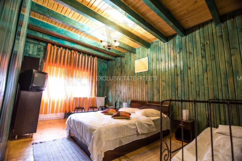 Pensiune in zona de munte-Baia de Fier - 10