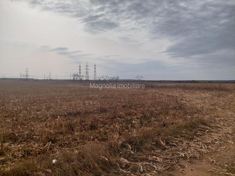 Teren dezvoltare rezidentiala / industriala, Dumbrava / Targoviste - comision 0% - 7