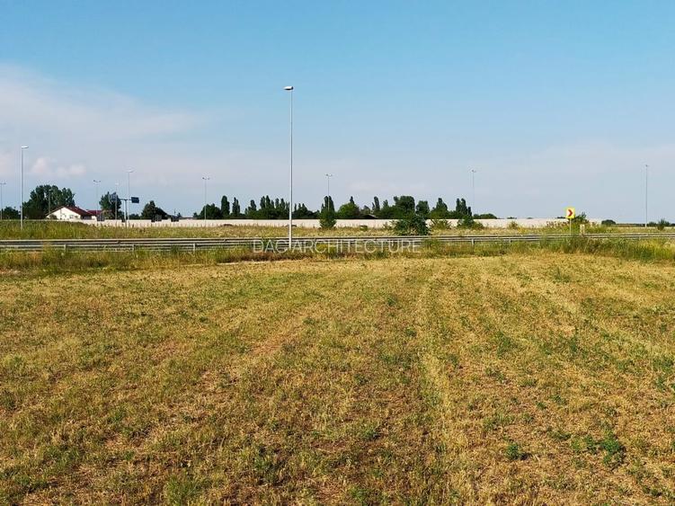 Teren intravilan 2,502mp Moara Vlasiei - 4