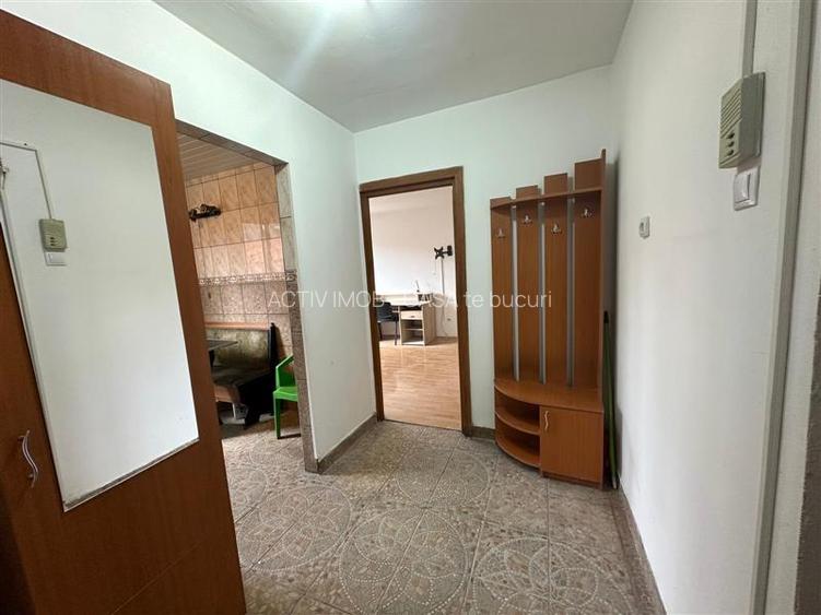 Resita, Apt. 3 cam.cf.1, semidec, Lunca - 12