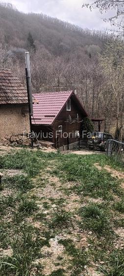 Vând Cabana  în munții  Apuseni  - 7