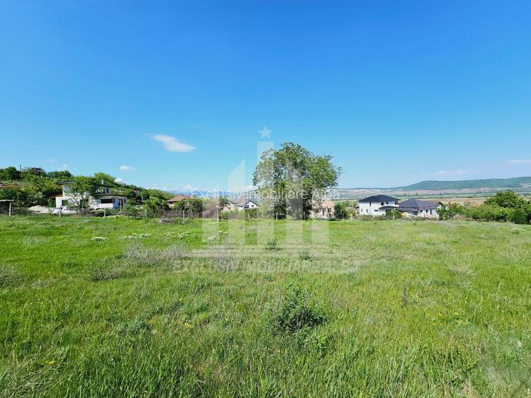 Teren intravilan | De vanzare | 3000 mp | 85 ml deschidere | Micesti - 3