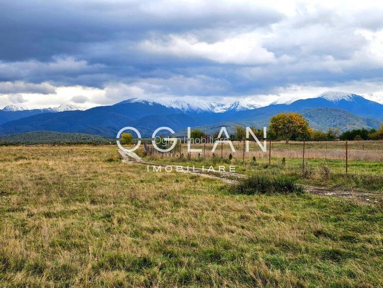 SUPER OFERTA! Teren  1000 mp, Vl. Avrigului SIBIU - 3