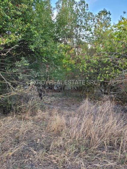 Teren Cernavodă 14.000 m/4 euro m - 2