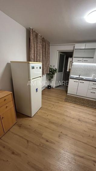 GARSONIERA - RAHOVA, PET-FRIENDLY, MOBILAT/UTILAT MODERN, CURTE - 13