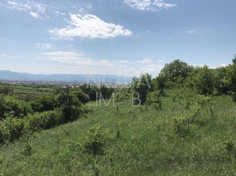 Teren extravilan - 8000 mp, Gusterita - 2