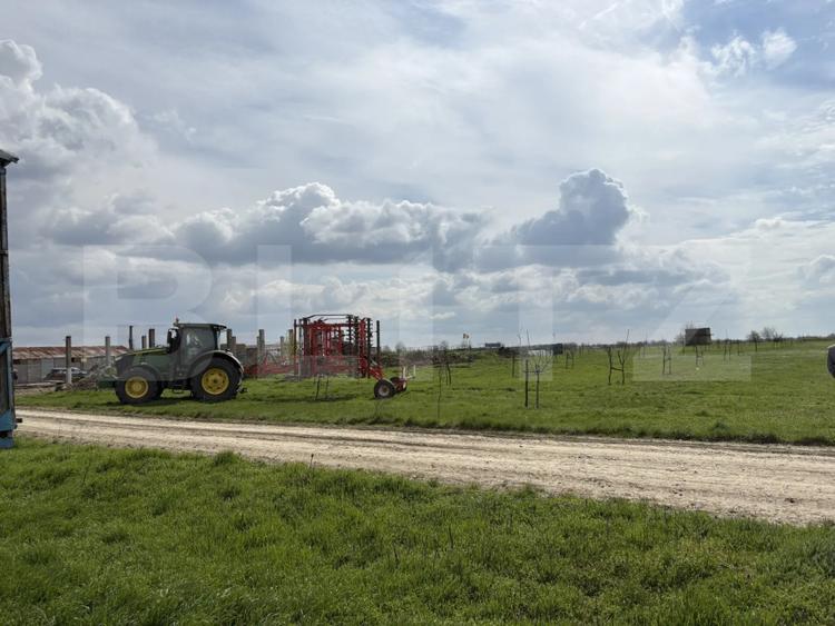Ferma de nuci - teren agricol, zona Ivesti