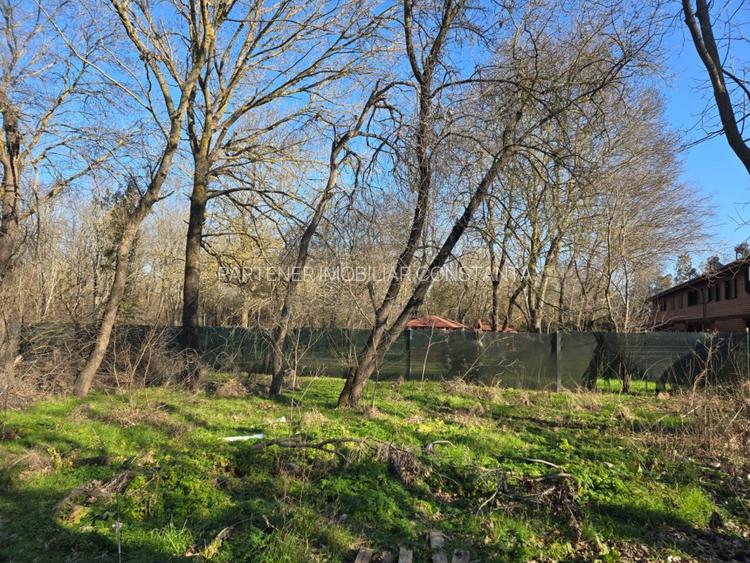 Neptun - Teren construibil in Padurea Comorava - 6