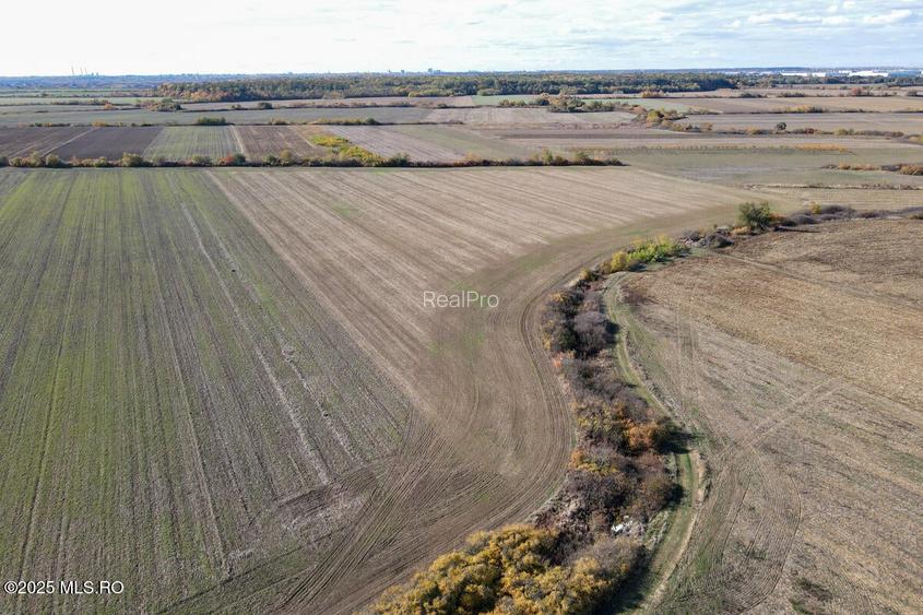 Bucovat - Lot Intravilan 2.27 Ha, PUZ inceput, Rezidential + Servicii! - 7