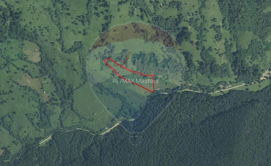 Teren 12,127mp Frasin / Drumul Forestier Valea Seaca - 14