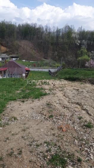 Proprietate deosebită 5000 mp în Slătioara (Vâlcea) – Intabulat cu Pădure  - 3