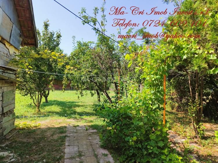 VILA-5 camere-in Gruiu, jud. Ilfov - 10