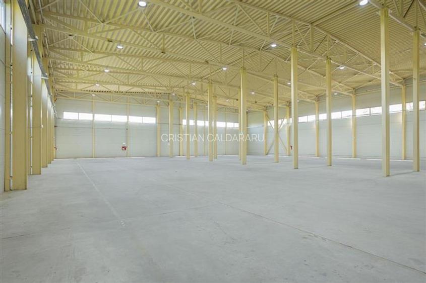 Inchiriere depozit/hala/spatiu industrial Otopeni - Centura - 6