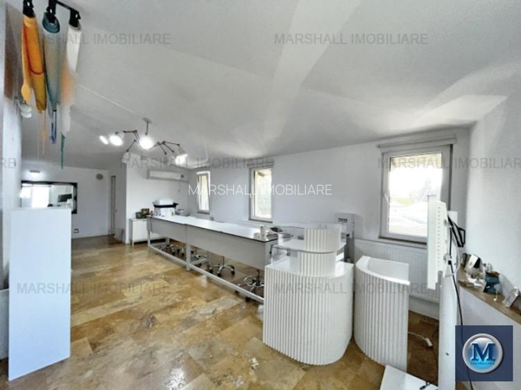 Vila cu 6 camere de vanzare, zona Ana Ipatescu, 197.24 mp #16591 - 8