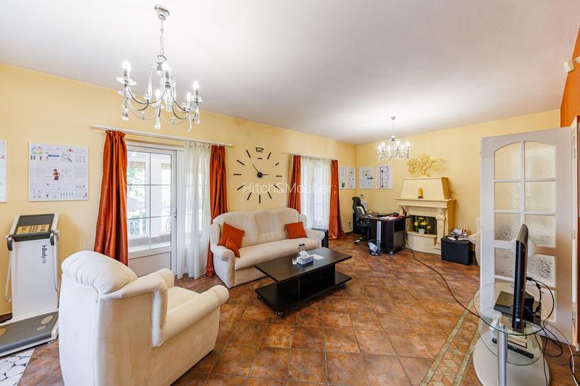 Vilă cu spatii largi, curte generoasă - 14