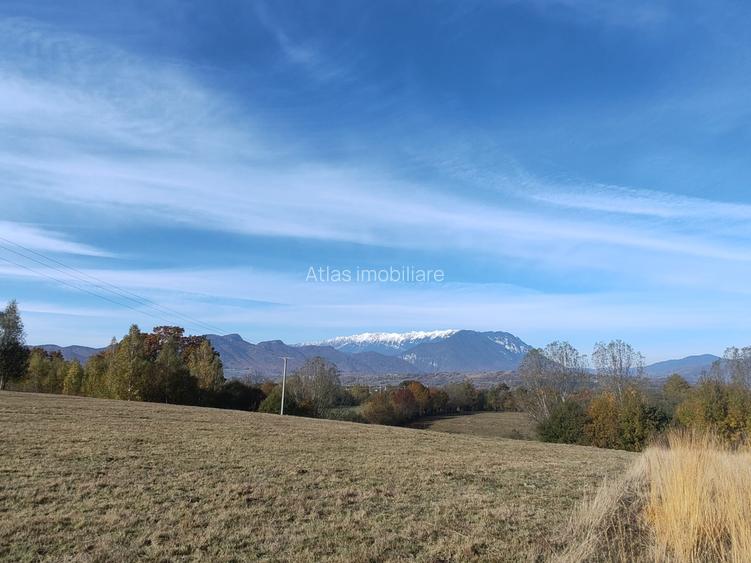 5800 mp fineata, pretabil camping, constructii A-frame, Sohodol, Bran - 2