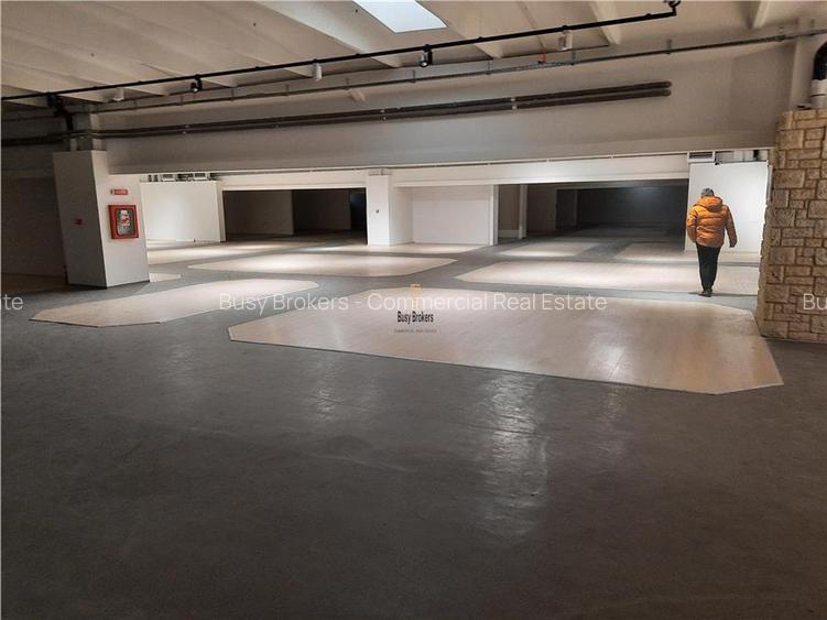 Spatii Comerciale - 500 mp - Showroom - Comert - 5