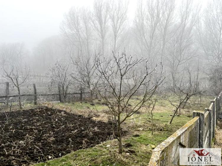 Vanzare casa in Ighiu - 5