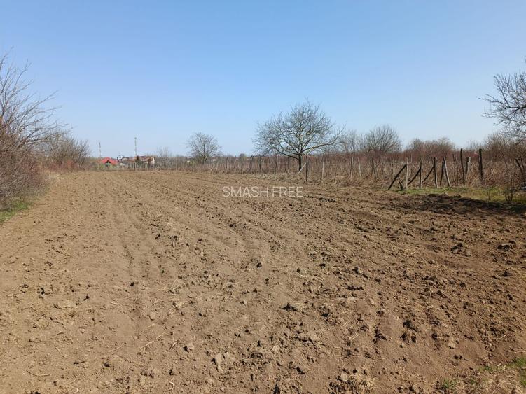 Teren extravilan 2400 mp in Afumati - 2