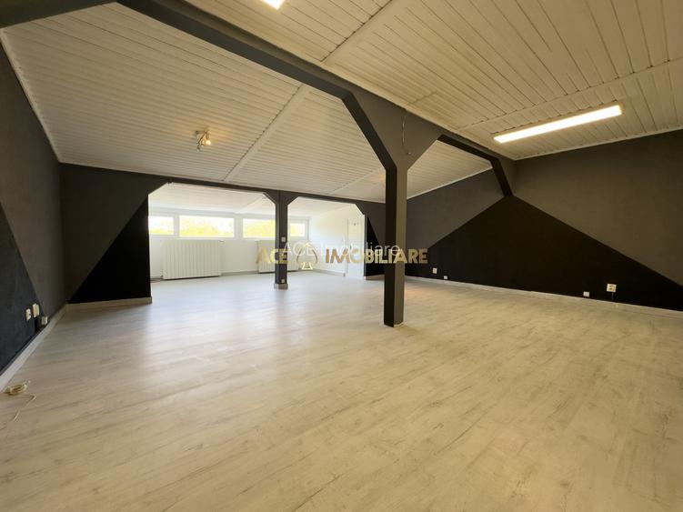 Casa de vanzare | Banu Manta | 7 Camere | 2 Parcari | 310 MP | Renovat - 27