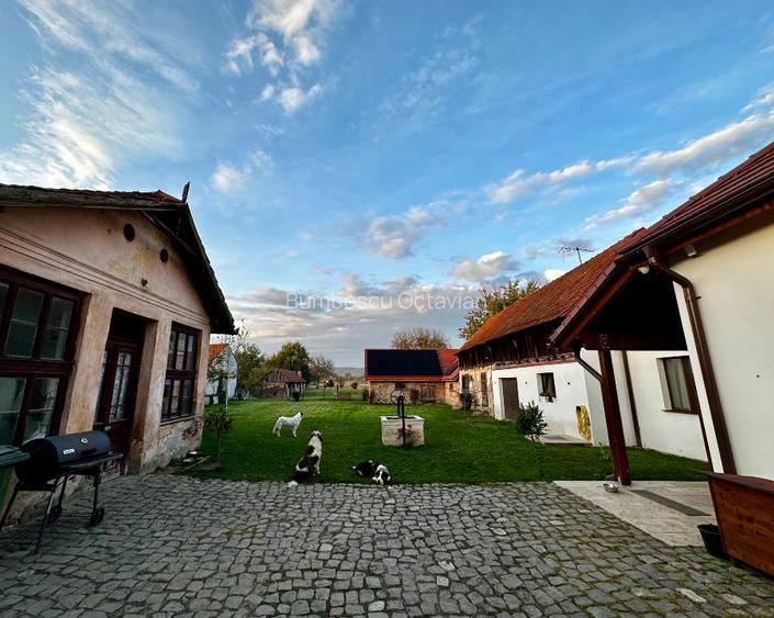  Proprietate unică, eficientă energetic (certificata nZEB) – ideală pentru locui - 5