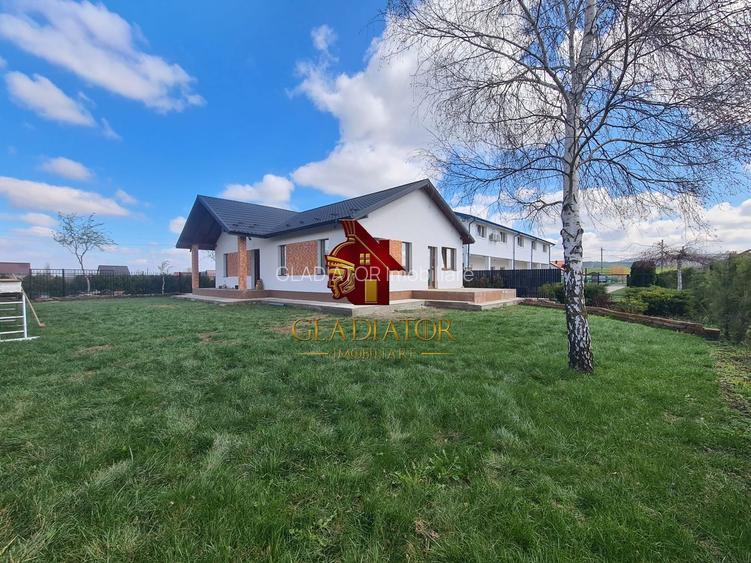 Casa plan parter deosebita, Lunca Cetatuii Ciurea, la asfalt, zona vis - 7