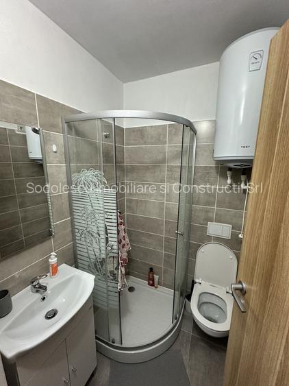 Apartament 1 camera la Mansarda zona Bucovinei - 9