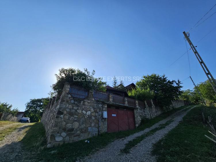 Vila superba de vanzare in Vintila Voda, Buzau D+P+1 si anexe - 13